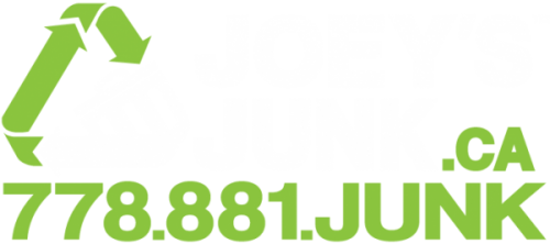 large logo of joey’s junk